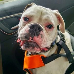 Meet your Posher, Brittany